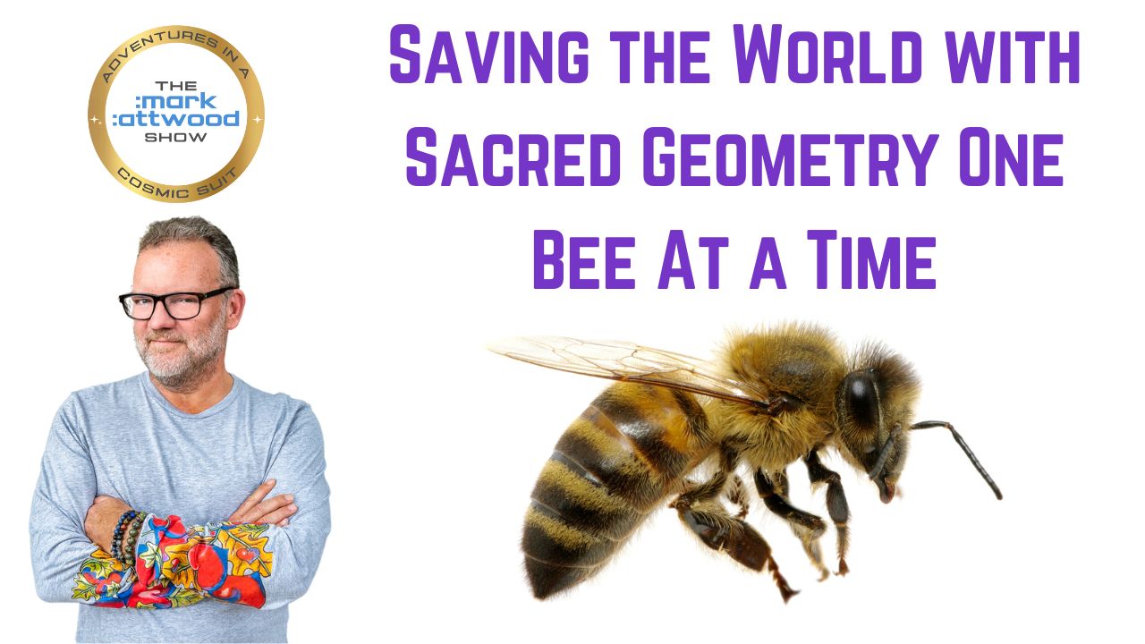 Saving the World with Sacred Geometry One Bee At a Time – 7th Aug 2025