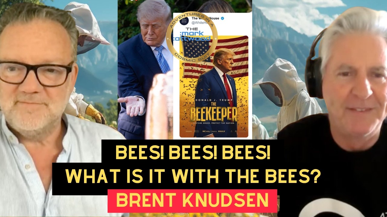 BEES! BEES! BEES! What Is It With The BEES? The Mark Attwood Show – 12th May 2026